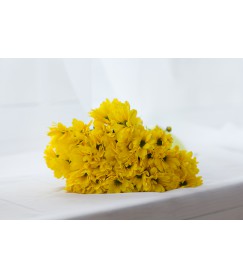 Желтая лента
